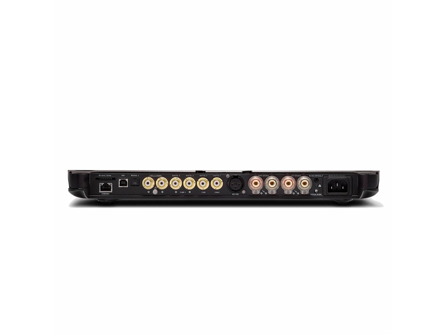 DEVIALET Expert 220 Pro