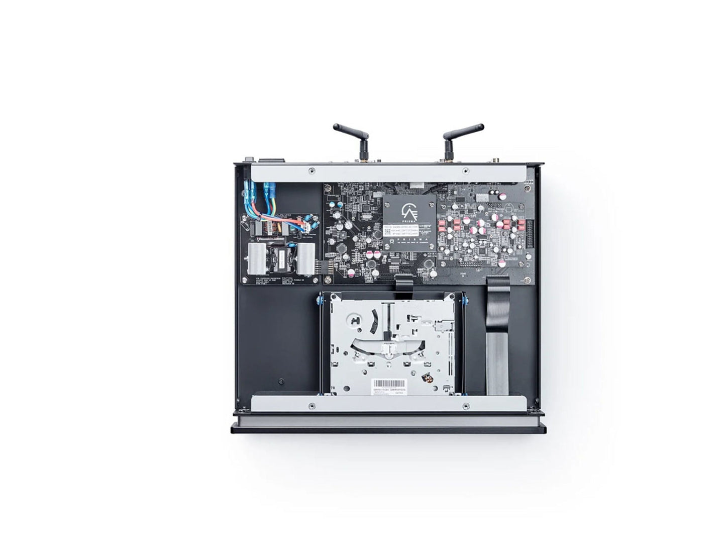 PRIMARE CD15 Prisma