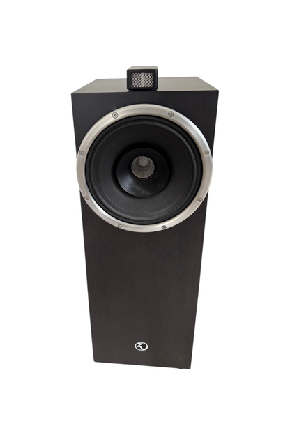 Enceintes ZU soul MK2 - contres pointes - cables  - Super TWEETER