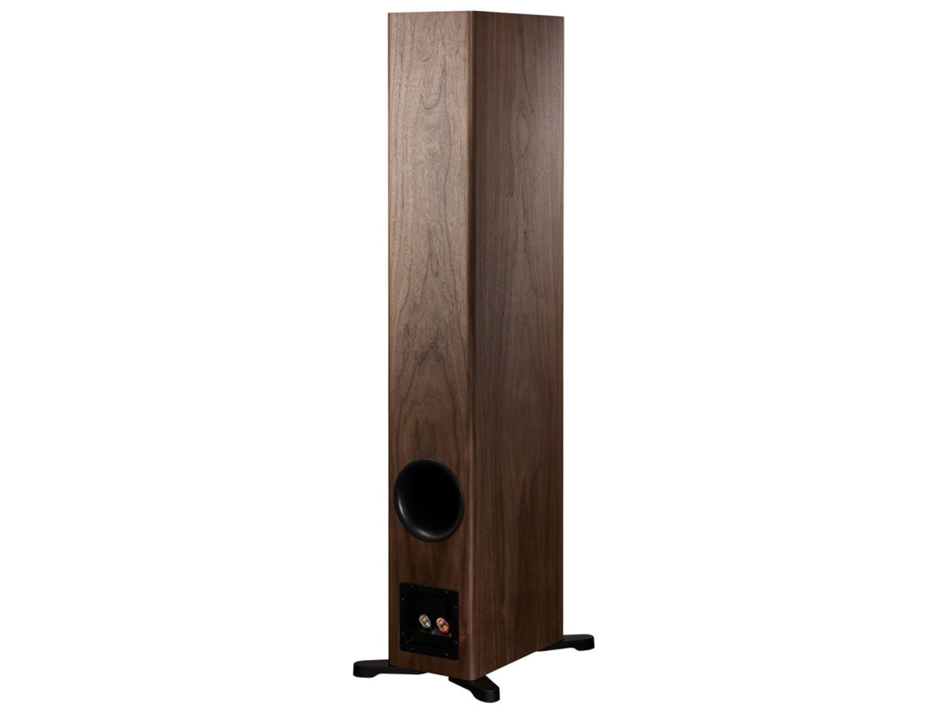 DYNAUDIO EVOKE 50 Walnut Wood (la paire)