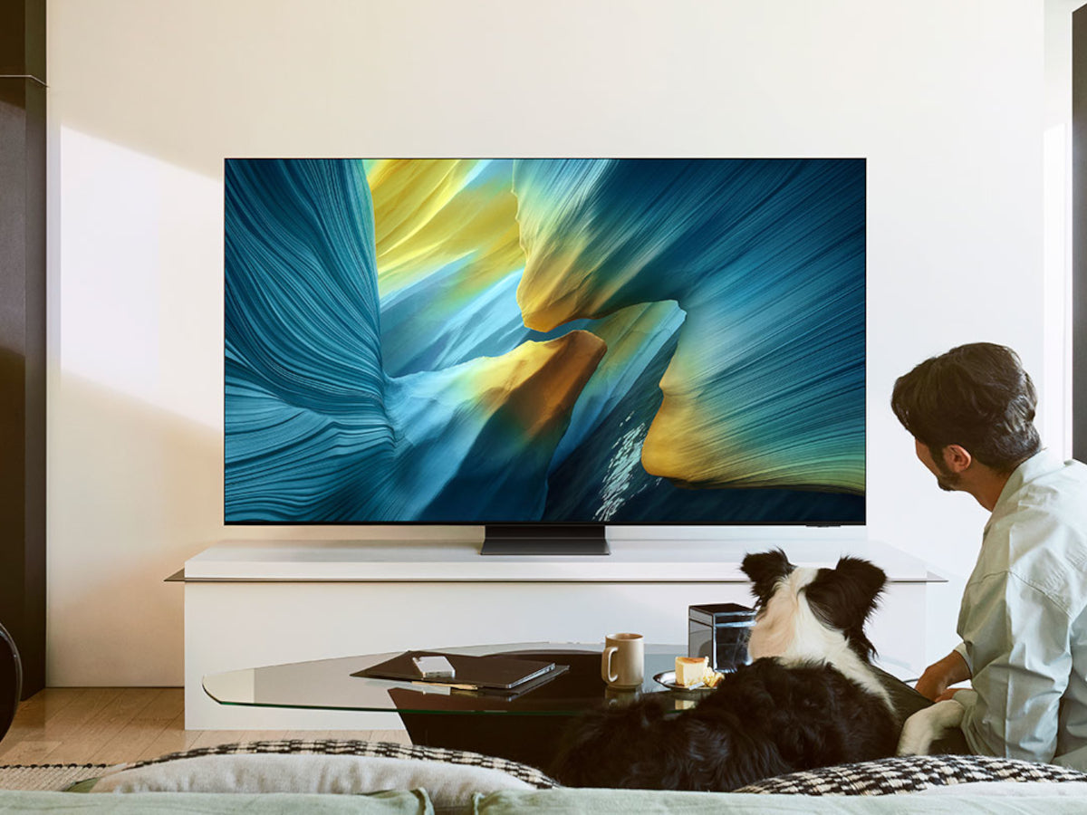 SAMSUNG TQ55S95F 2025