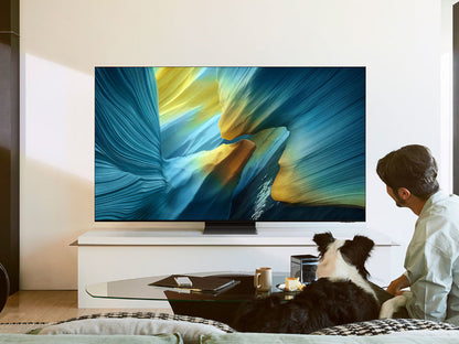 SAMSUNG TQ55S95F 2025