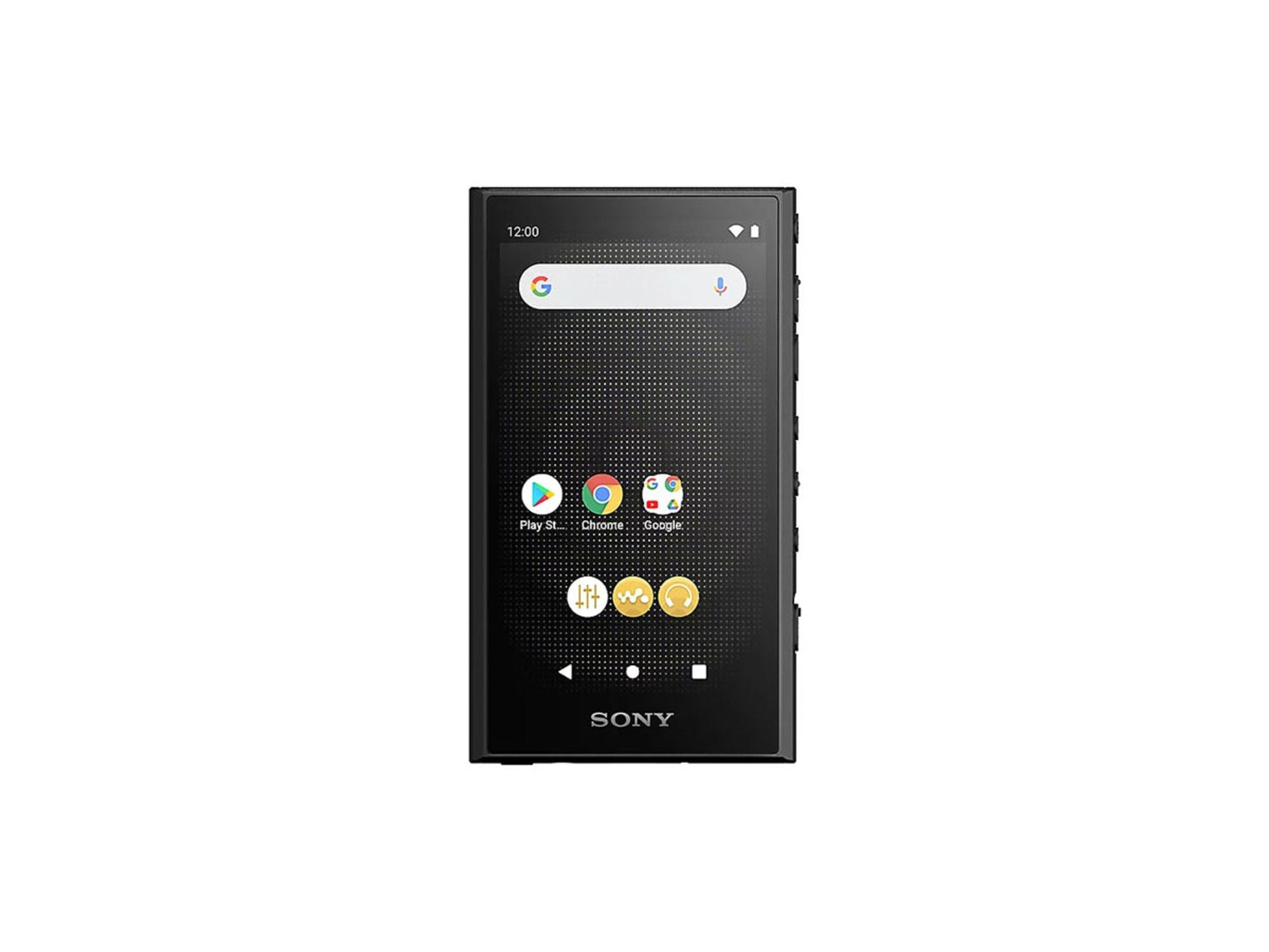SONY NW-A306 Noir