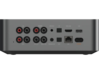 WIIM ULTRA + VIBELINK SYSTEM