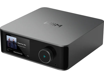 WIIM ULTRA + VIBELINK SYSTEM SPACE GREY