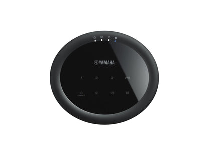 YAMAHA MusicCast 20 (WX-021)