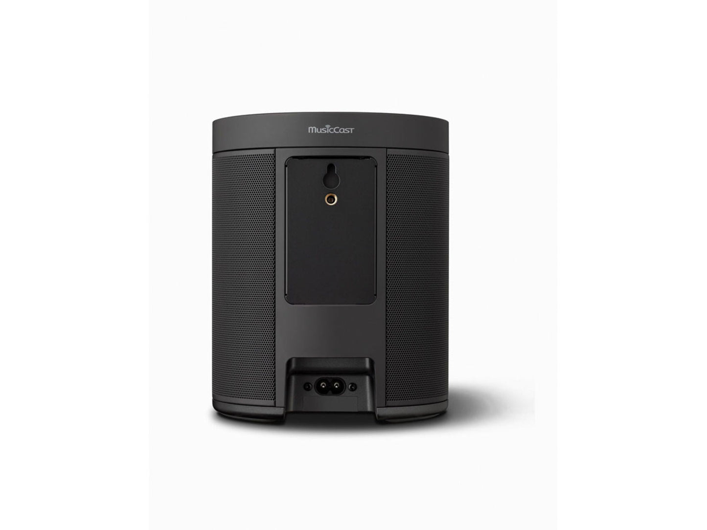 YAMAHA MusicCast 20 (WX-021)