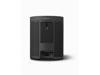 YAMAHA MusicCast 20 (WX-021)